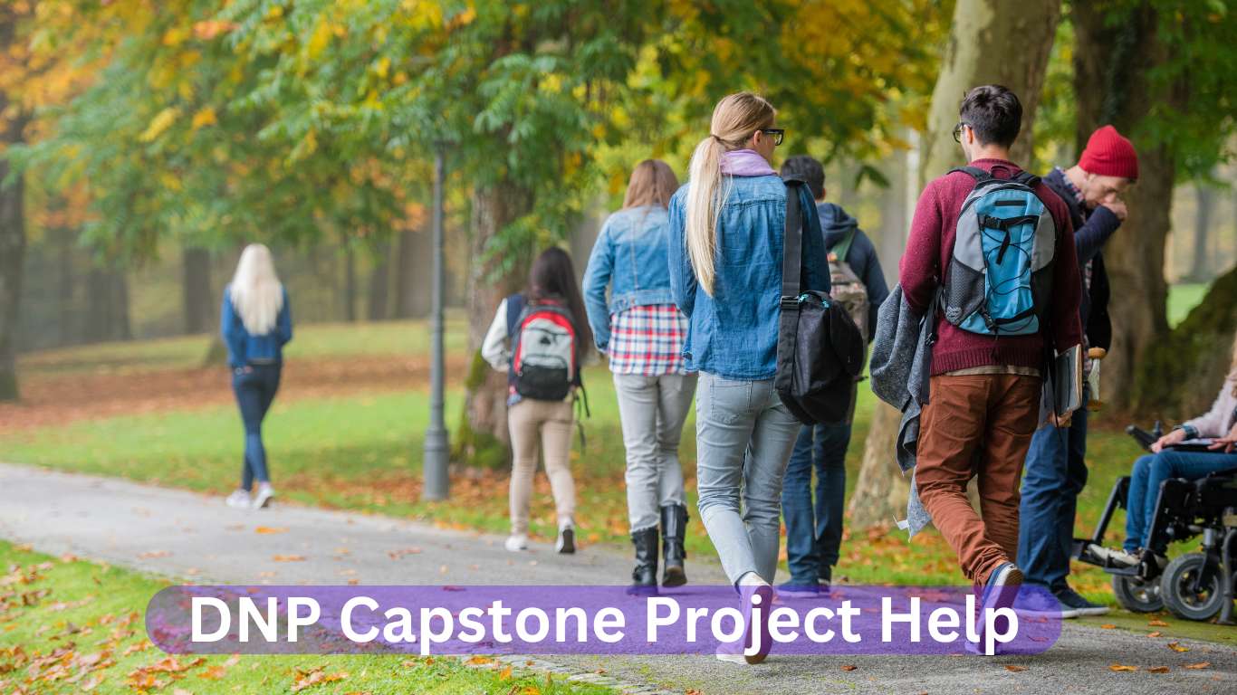 DNP Capstone Project Help | dnp capstone project writing service